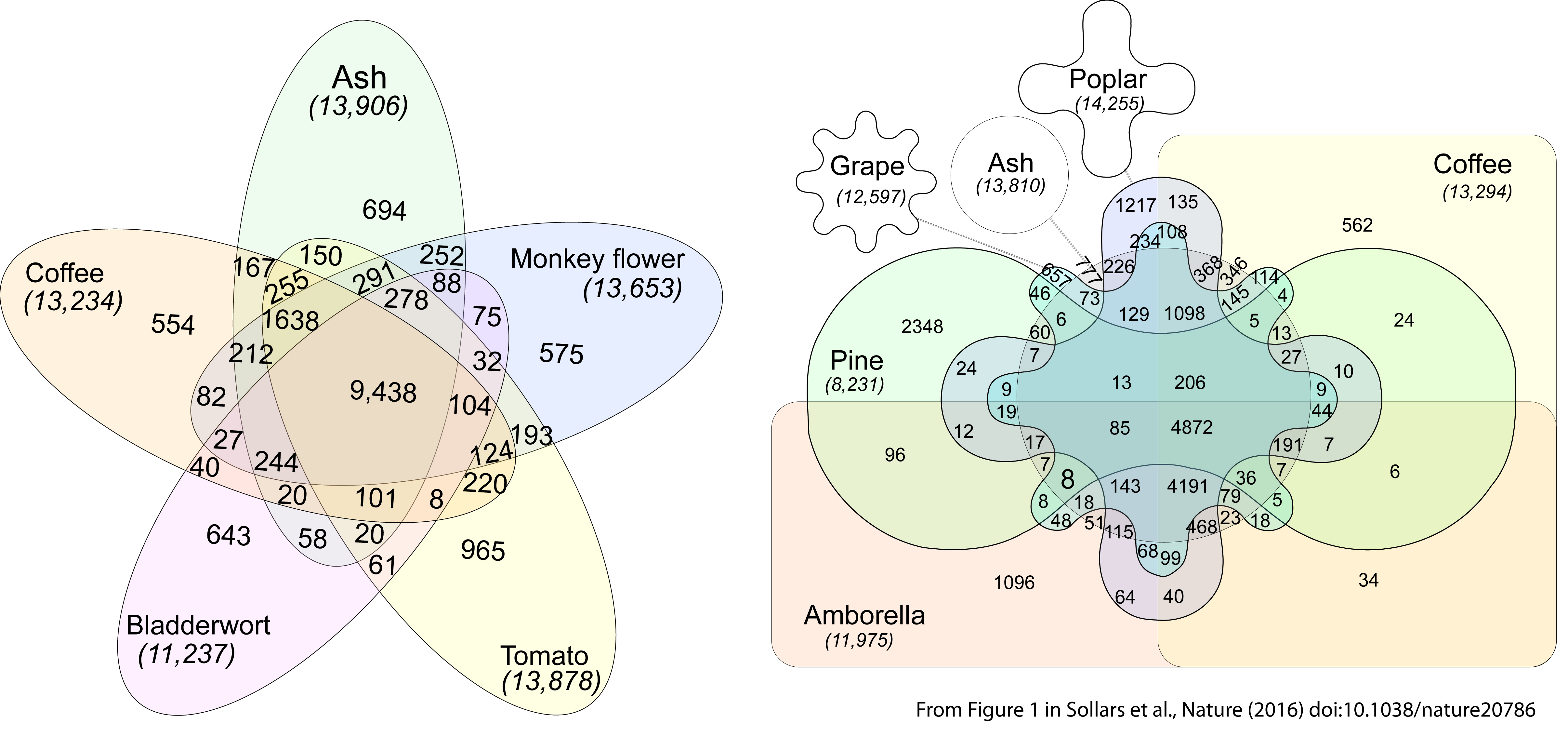 Ecology and Evolution Wiley Online Library