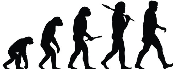 Modern Theory of Evolution CliffsNotes Study Guides