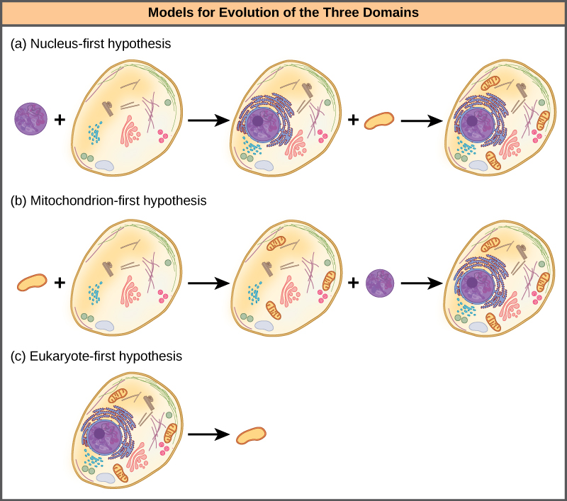 Journal name Genetics & Epigenetics Year 2016 The