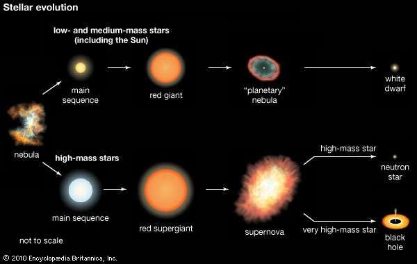 Nuclear Astrophysics LRZ