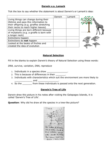 Darwin’s theory of evolution SlideShare