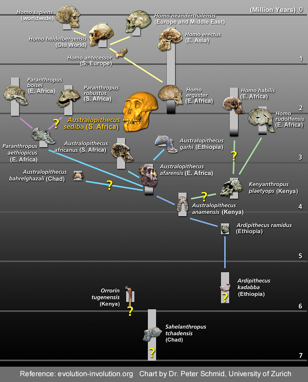 The Evolution of Consciousness YouTube