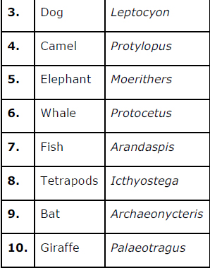 Is domestication an example of evolution? Quora