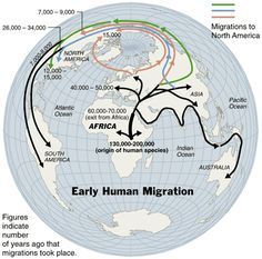 The Case Against Human Evolution A Skeptical View