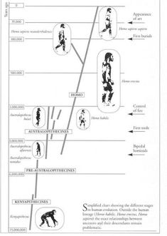 Charles Darwin Theory of Evolution Darwin Evolution