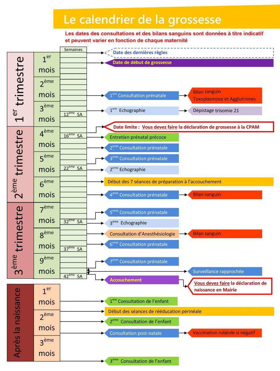 Evolution by Stephen C. Stearns and Rolf F. Hoekstra (2005