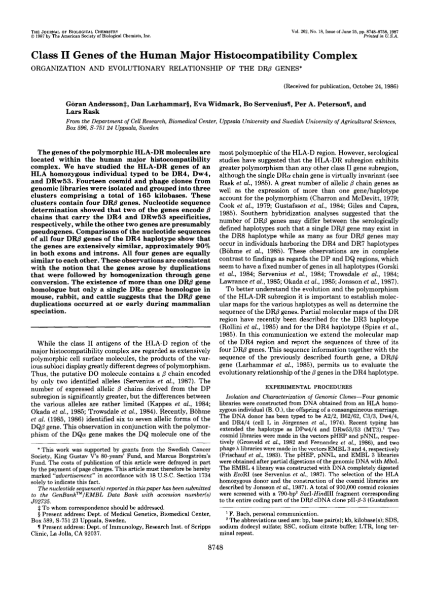 February 10 2005 Lecture 12 Molecular population genetics