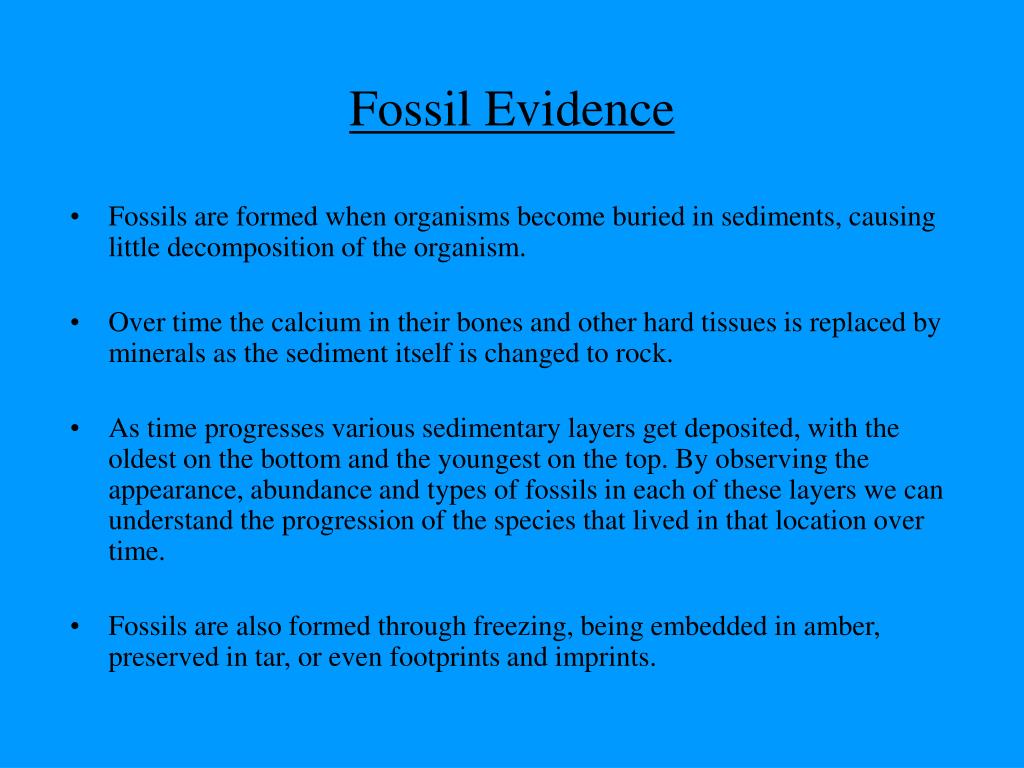 Evolution in Fossil Lineages Paleontology and The Origin