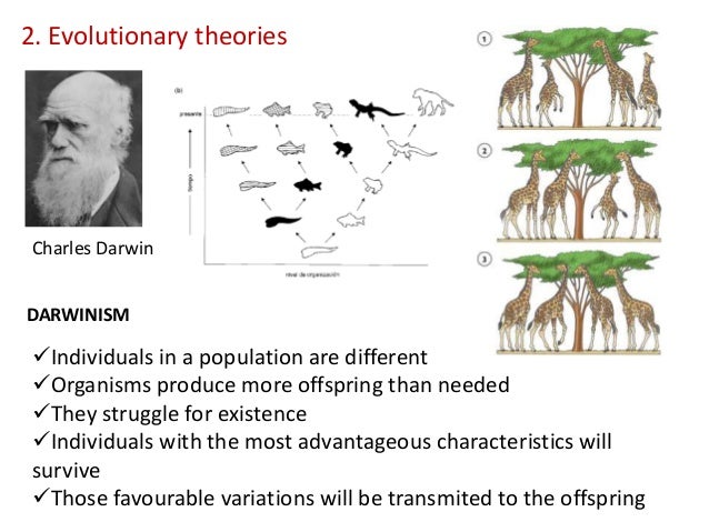 Origin of Life Chemical Evolution [PDF Document]