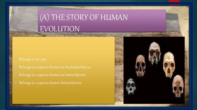 Evolution The Human Story eBookMall.com