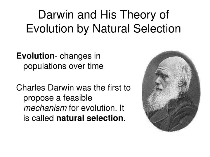 What Are the Four Steps of Natural Selection? Reference.com