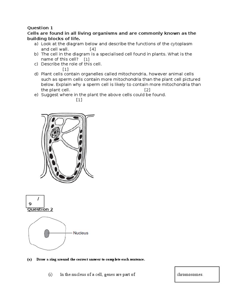 AP Biology Evolution Help and Review - Practice Test