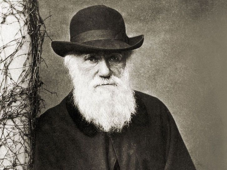 Charles Darwin Facts That Reveal The Man Behind Evolution