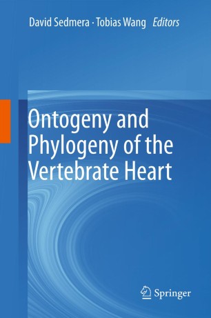 vertebrates comparative anatomy function evolution