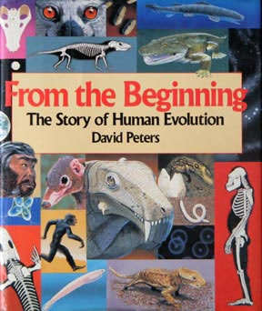 Origin Of The Human Species The The Story Of Human