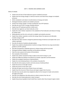 AP Biology Chapter 22 Worksheet studylib.net