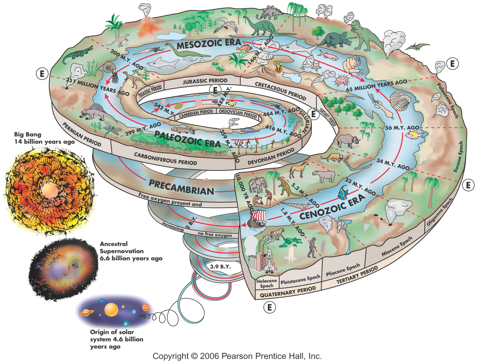 The Book of Life An Illustrated History of the Evolution