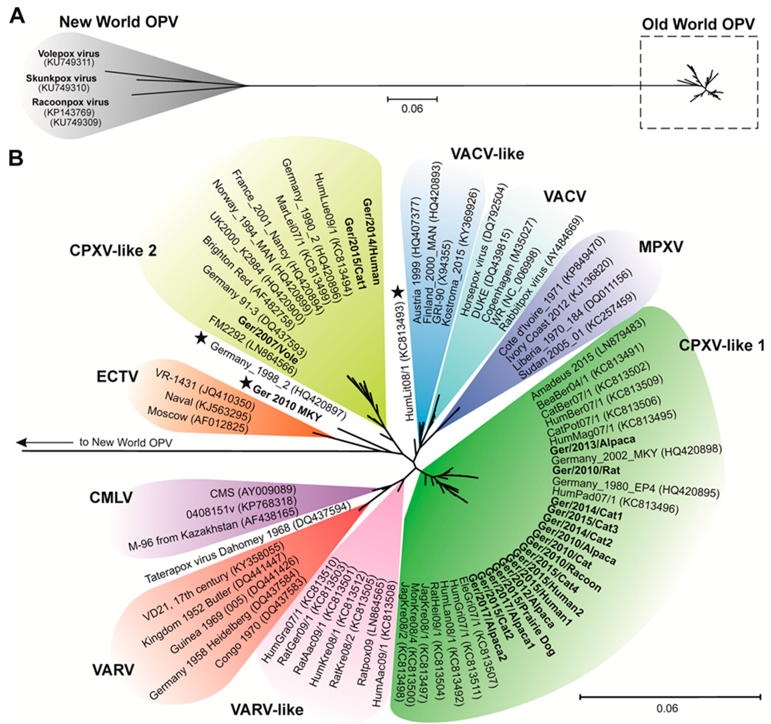 Analysis of Phylogenetics and Evolution with R (Use R