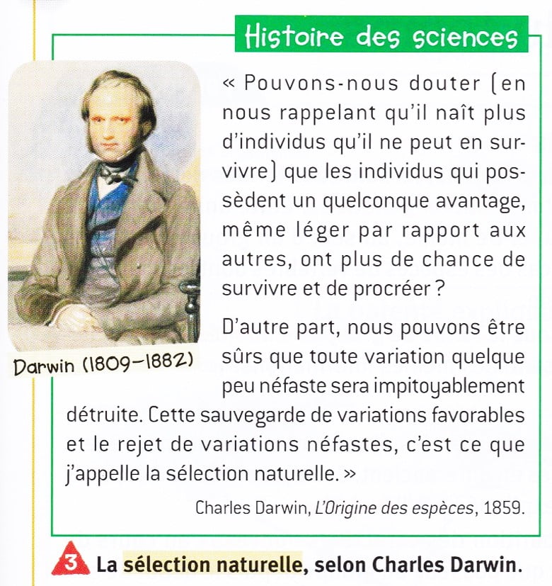 Introduction du concept d’évolution humaine buissonnante