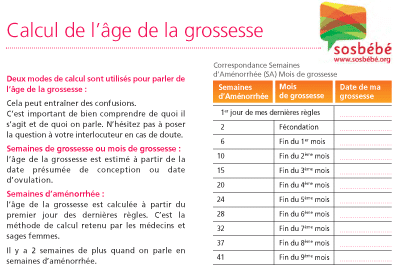 Poids et taille du foetus mois par mois semaine par