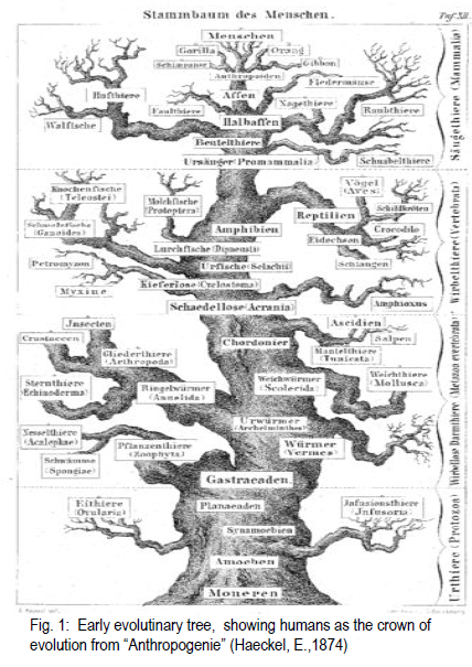 Paul Ehrlich “The Dominant Animal Human Evolution and