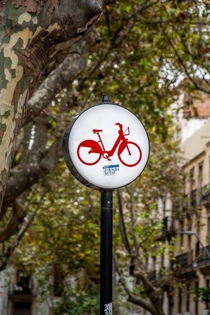 bianchi bike size guide