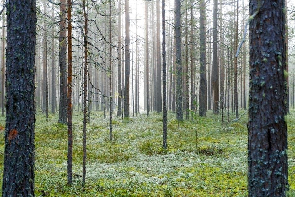 dryad 3.5 monster manual